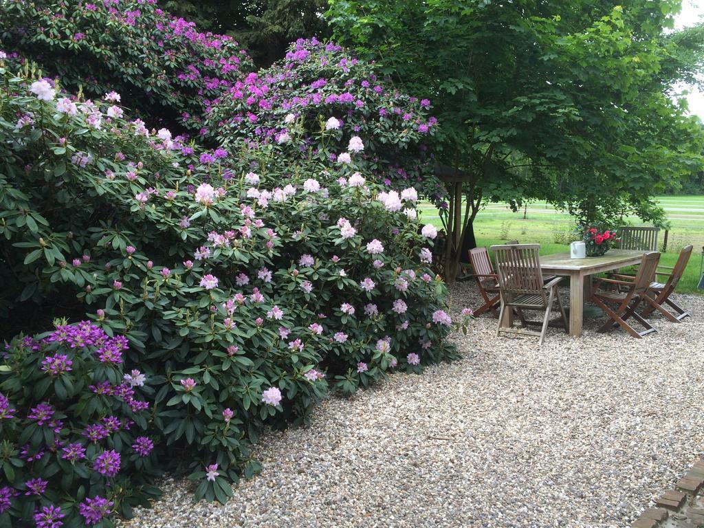 Landgoed Hoeve Honeswei ウィンタースウェイク エクステリア 写真